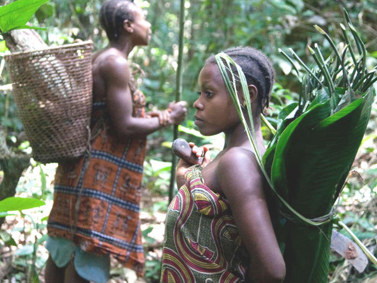 Camerun – Ambientalisti complici di abusi contro i Baka