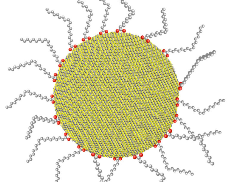 Osservata minuscola distorsione dei Quantum Dots