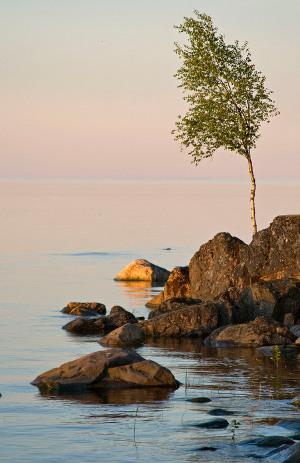 Ladoga Parco russia1