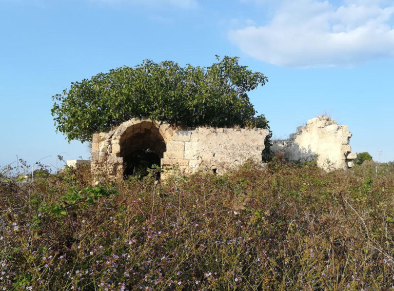 Lecce geologica… un successo della conoscenza