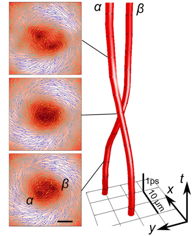 La sorprendente danza di coppia dei vortici quantizzati