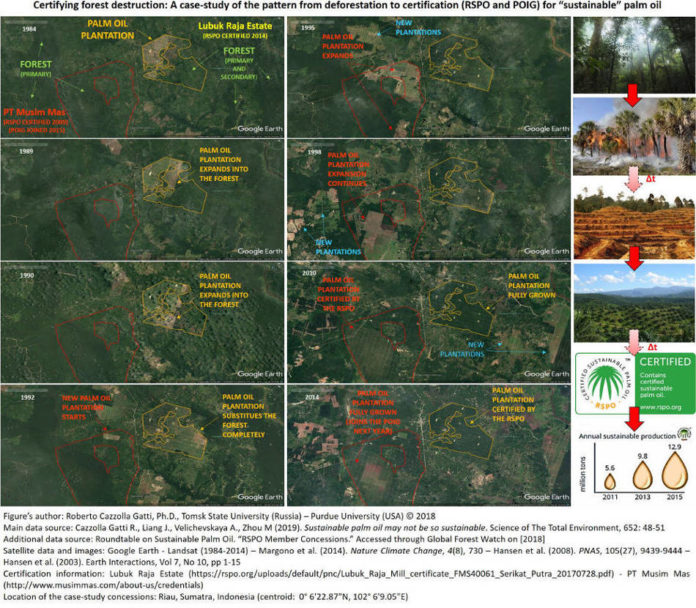 Certifying forest destruction_Palm oil