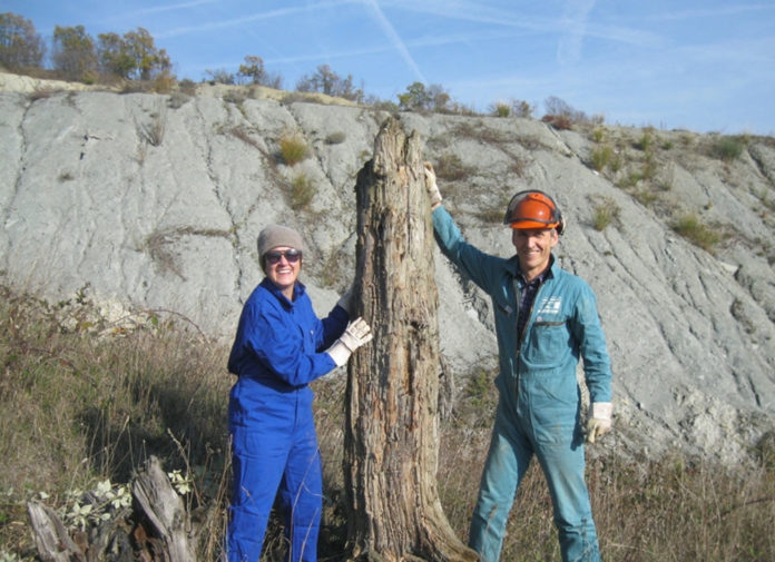 Campionamento albero fossile Savona Sahra Talamo Mike Friedrich