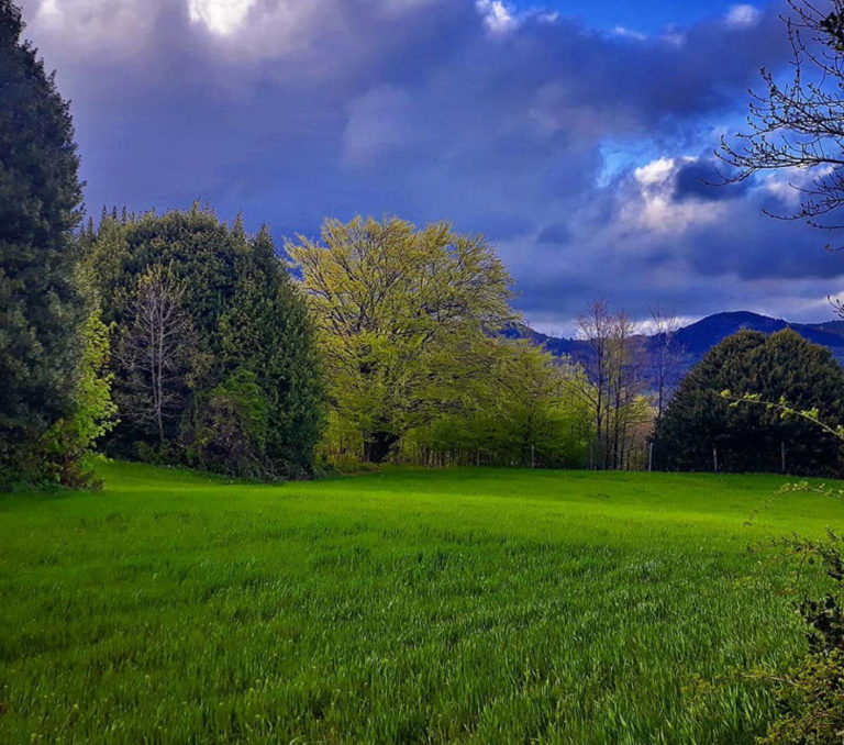 Pollino, qualcosa più di un festival