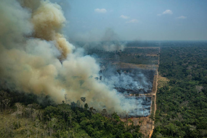 GP amazzonia incendi