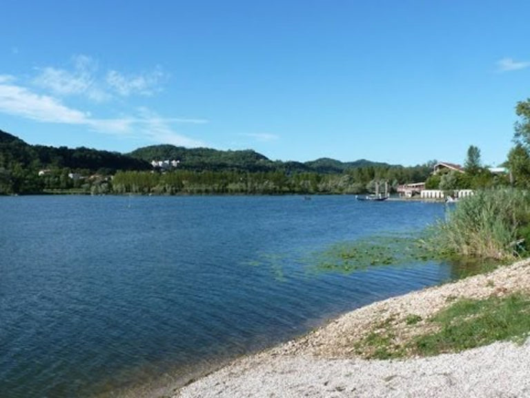 Veneto, arsenico e pesticidi… e si sta a guardare