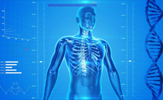 ossa osteoporosi inquinamento