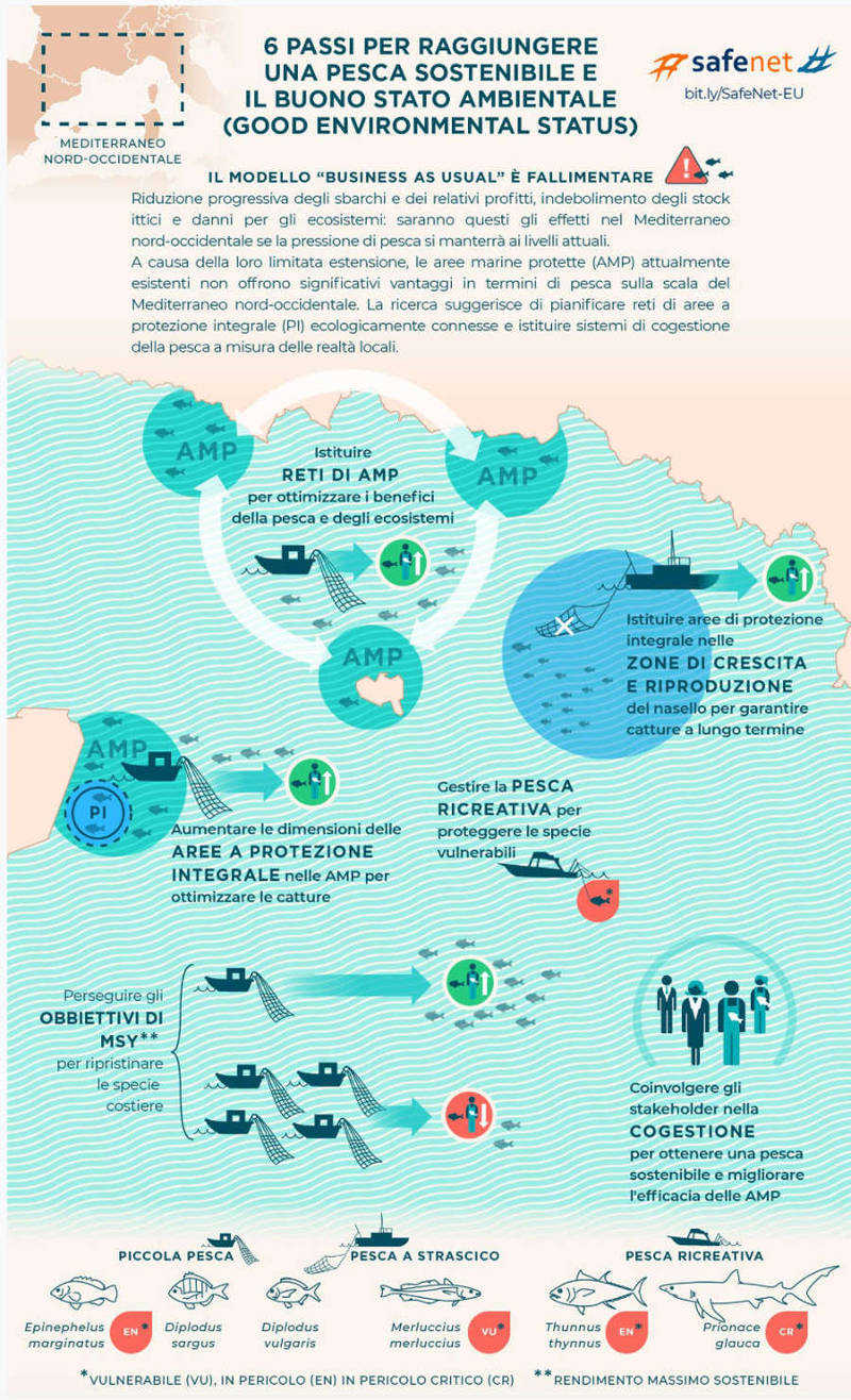 infografica pesca wwf