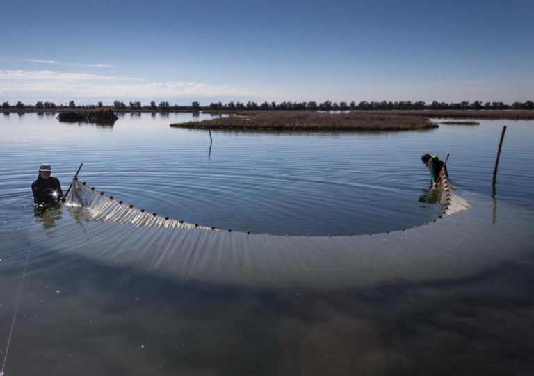 Al via la marinizzazione della laguna Nord di Venezia