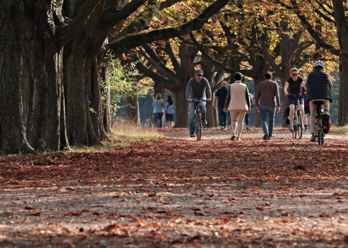 toscana, alberi, viale, biciclette, qualità, aria