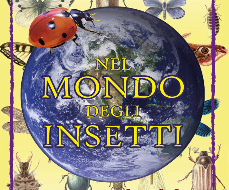 Nel Mondo degli Insetti