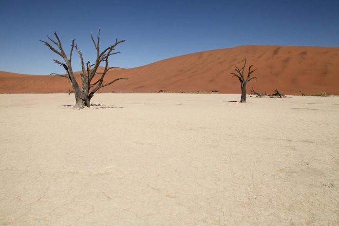 namibia deserto