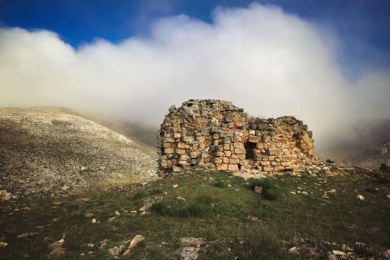  I vincitori della 13a edizione del concorso fotografico Sigea