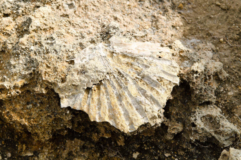 La premiazione delle foto dei Paesaggi Geologici della Puglia