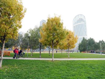 Smog fa male anche alle ossa, con più verde meno osteoporosi