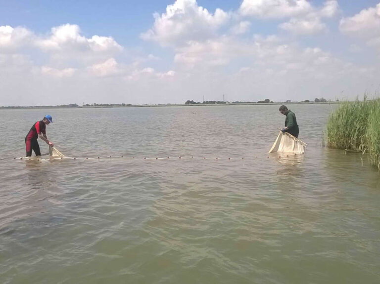 Il Dna della Laguna studiato attraverso l’acqua