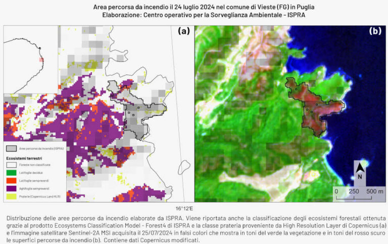 Da inizio anno 615 incendi forestali