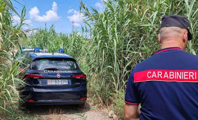 carabinieri g tauro