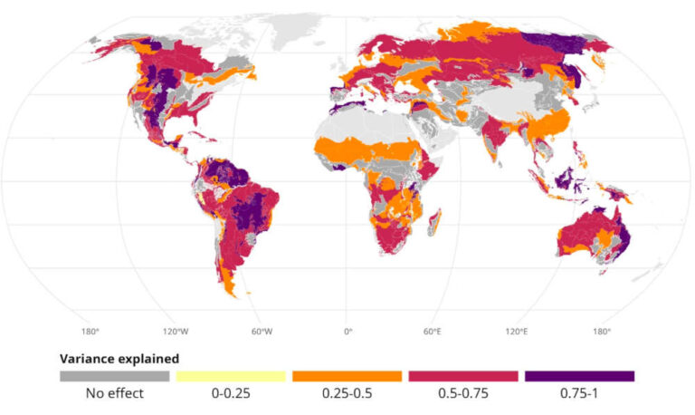 Clima e incendi, come e dove si «alleano»