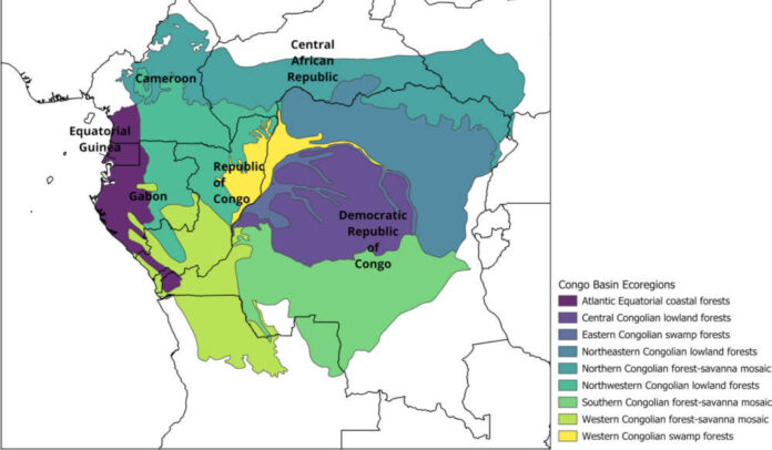 bacino-del-congo-dalla-ricerca-di-Sapienza1-s2.0-S0006320724002921-gr1_lrg.