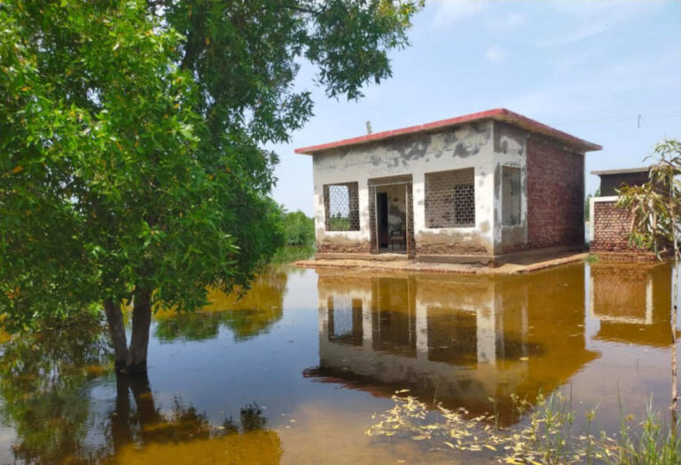 Clima senza tregua, alluvioni in Africa, Pakistan e Vietnam