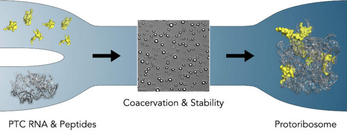 Graphical-Abstract