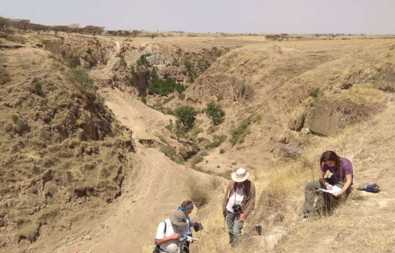 Vulcani ed evoluzione di ominidi nella Rift Valley