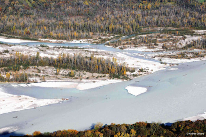 Tagliamento, foto di Andrea Goltara