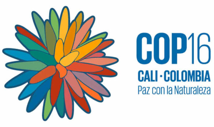 logo Cop16