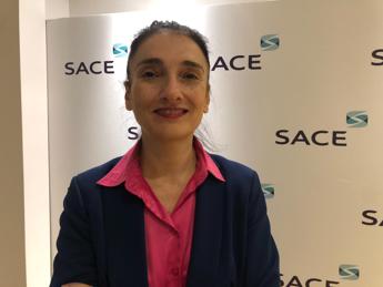 Ricci (Sace): “Crescente esposizione verso Africa, opportunità per nostre pmi”