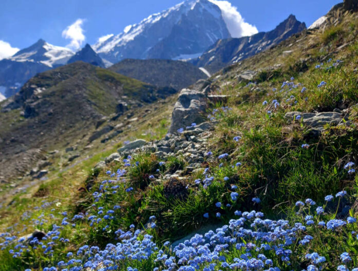 clima alpi svizzere unimi